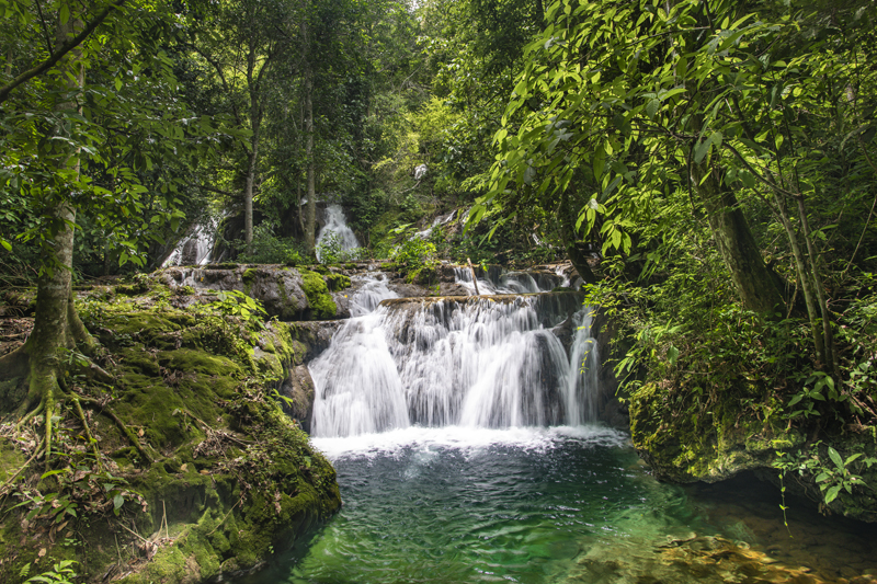 Bonito - Photo by Hudson Garcia (3)